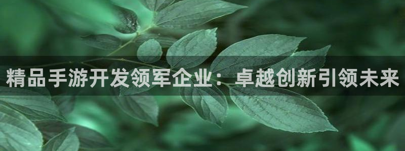庄闲庄庄闲的切入点