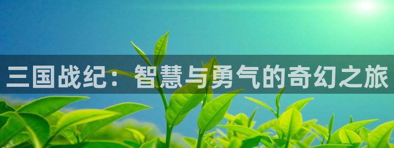 庄闲和玩法说明
