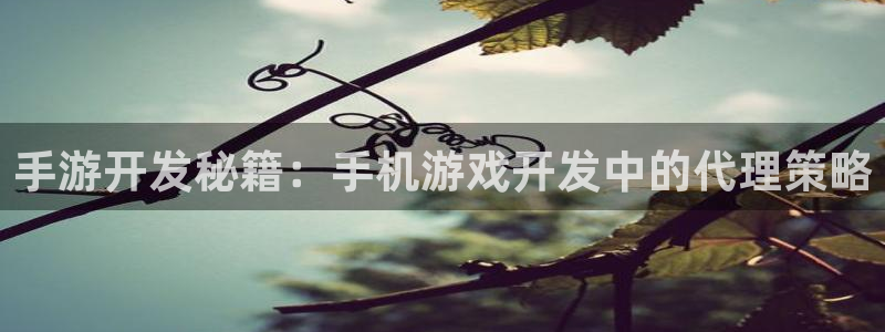 庄闲游戏版本：手游开发秘籍：手机游戏开发中的代理策略