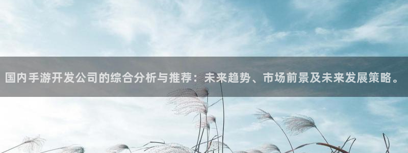 庄闲是什么颜色：国内手游开发公司的综合分析与推荐：未来趋势、