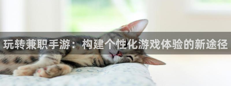 庄闲庄庄闲：玩转兼职手游：构建个性化游戏体验的新途径