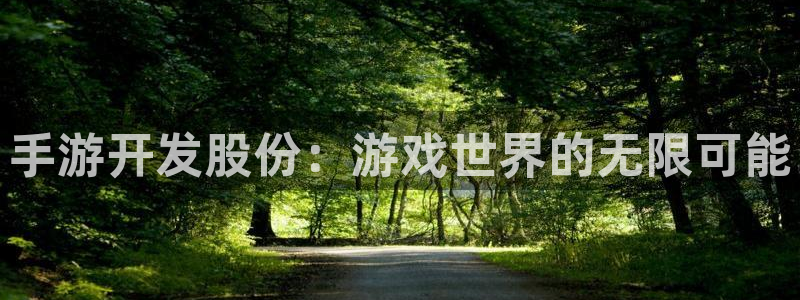 庄闲是什么赌法：手游开发股份：游戏世界的无限可能