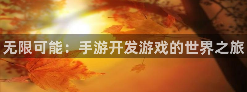 庄闲游戏稳赢规则：无限可能：手游开发游戏的世界之旅