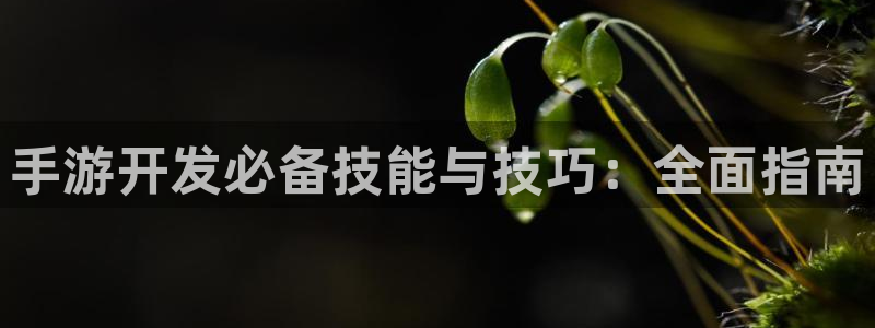 庄闲视频讲解：手游开发必备技能与技巧：全面指南