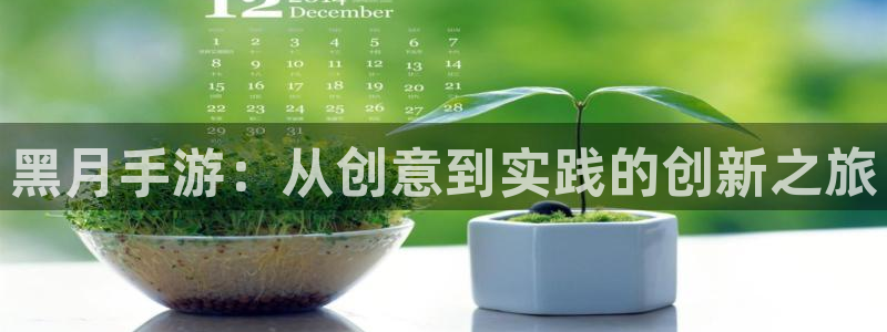 庄闲游戏app安卓版：黑月手游：从创意到实践的创新之旅
