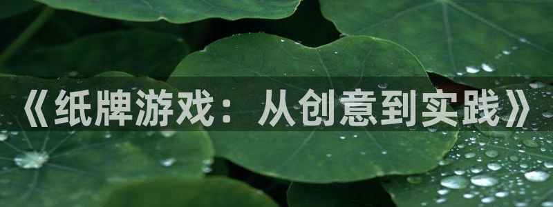 庄闲庄庄闲的切入点：《纸牌游戏：从创意到实践》