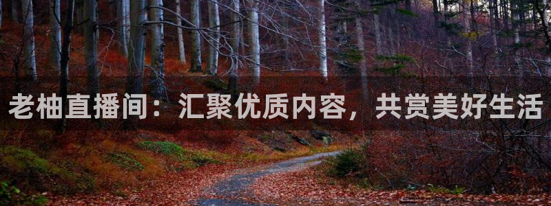 球友体育直播：老柚直播间：汇聚优质内容，共赏美好生活