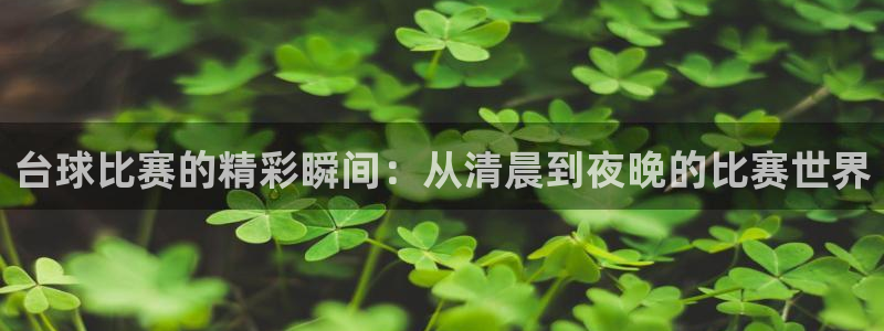 nba直播球友：台球比赛的精彩瞬间：从清晨到夜晚的比赛世界