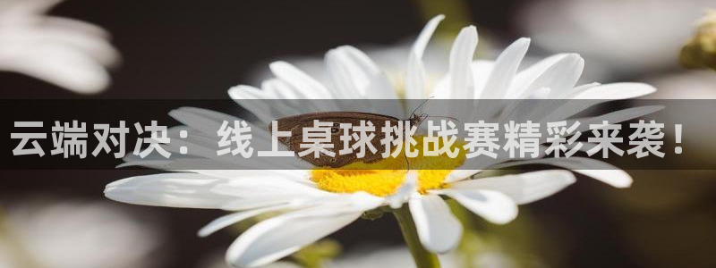 球友直播下载：云端对决：线上桌球挑战赛精彩来袭！