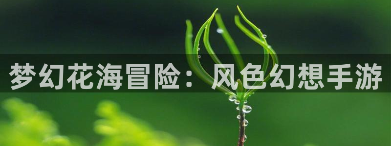 庄闲和游戏机有大满贯吗：梦幻花海冒险：风色幻想手游