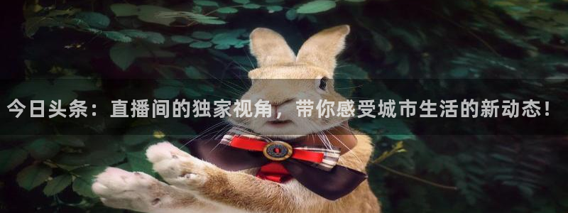 nba球友直播：今日头条：直播间的独家视角，带你感受城市生活的新动态！