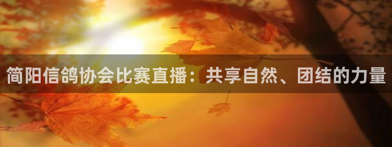 nba球友直播：简阳信鸽协会比赛直播：共享自然、团结的力量