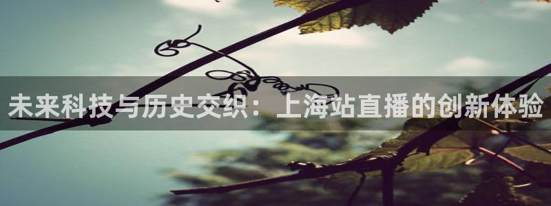 nba球友直播：未来科技与历史交织：上海站直播的创新体验