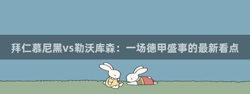 球友会体育：拜仁慕尼黑vs勒沃库森：一场德甲盛事的最新看点