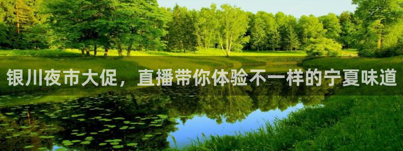 球友体育免费下载：银川夜市大促，直播带你体验不一样的宁夏味道