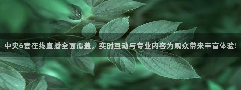 球友会体育：中央6套在线直播全面覆盖，实时互动与专业内容为观众带来丰富体验!
