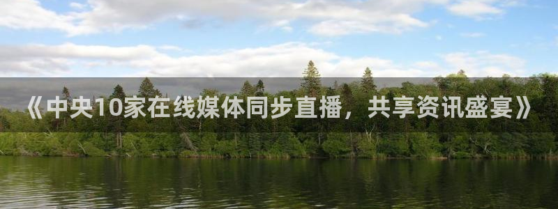 球友nba直播：《中央10家在线媒体同步直播，共享资讯盛宴》